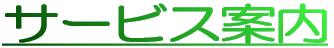 �ݏo���i 